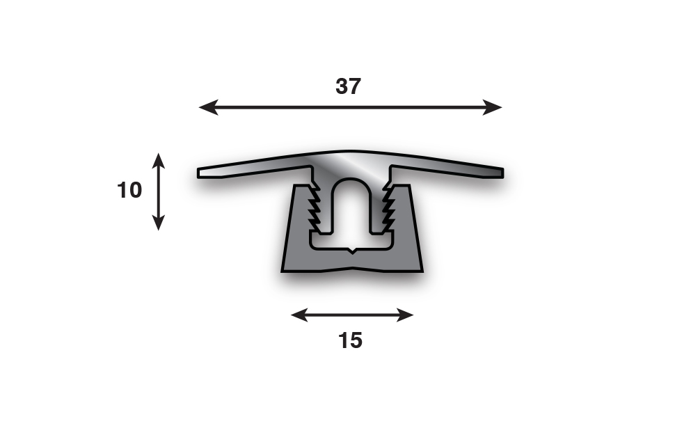 BT 12 TWIN